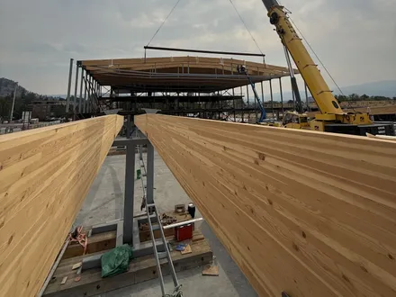 Mass Timber Framing